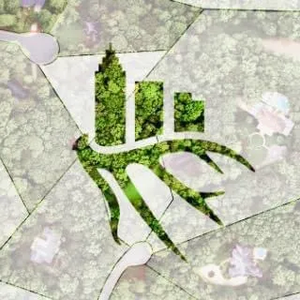 Seek One Productions