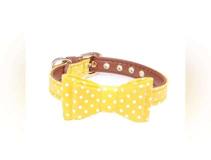 Yellow Bow Collar