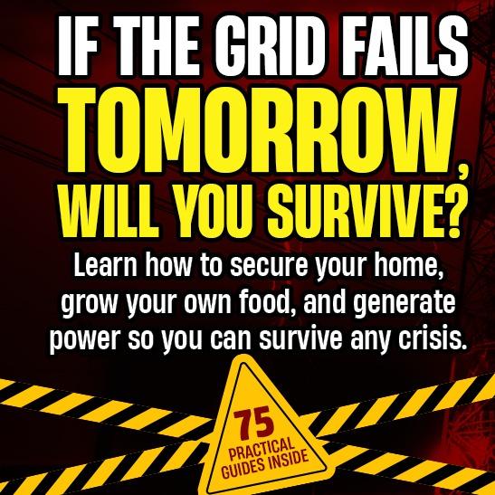 The Only Off-Grid Survival Projects Bible You’ll Ever Need: Proven DIY Off-Grid Strategies for 100% Self Sustainability - Secure Your Home, Food Supply, and Power To Thrive In Any Crisis & Disaster Paperback