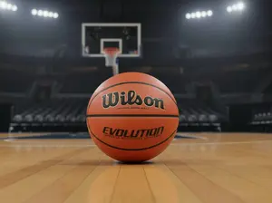 WILSON Men's Evolution Game Basketball (29.5) - Regular size Composite material