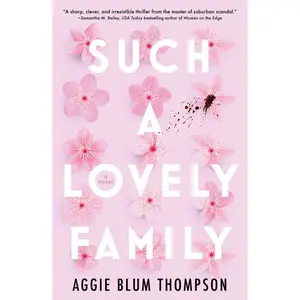 USED-Such a Lovely Family by Thompson, Aggie Blum (Paperback)