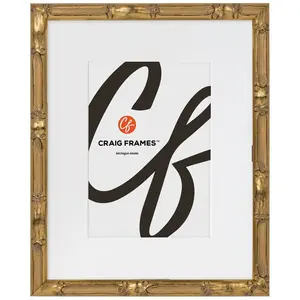 Craig Frames 22x28 Inch Picture Frame, Champagne Gold, Vintage Bamboo Style, 1.0" Wood Moulding, Painted Finish, Plexiglass Facing and Hanging