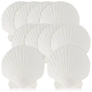 15 PCS Natural Sea Shell Large White, 4-4.7 Inch Scallop Shells for DIY Craft, Serving Food, Baking and More