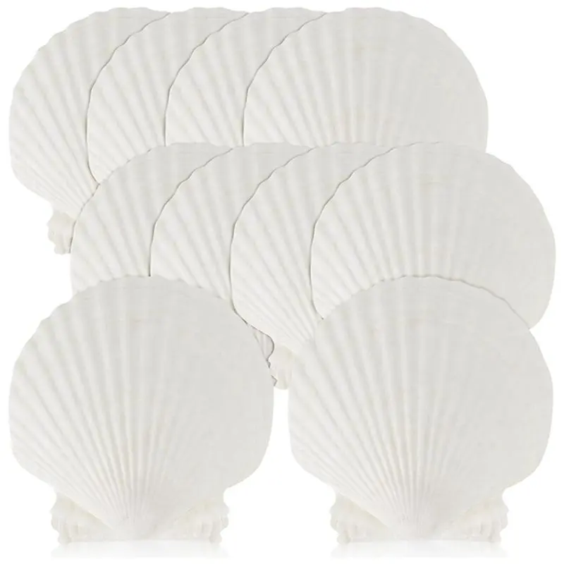 15 PCS Natural Sea Shell Large White, 4-4.7 Inch Scallop Shells for DIY Craft, Serving Food, Baking and More