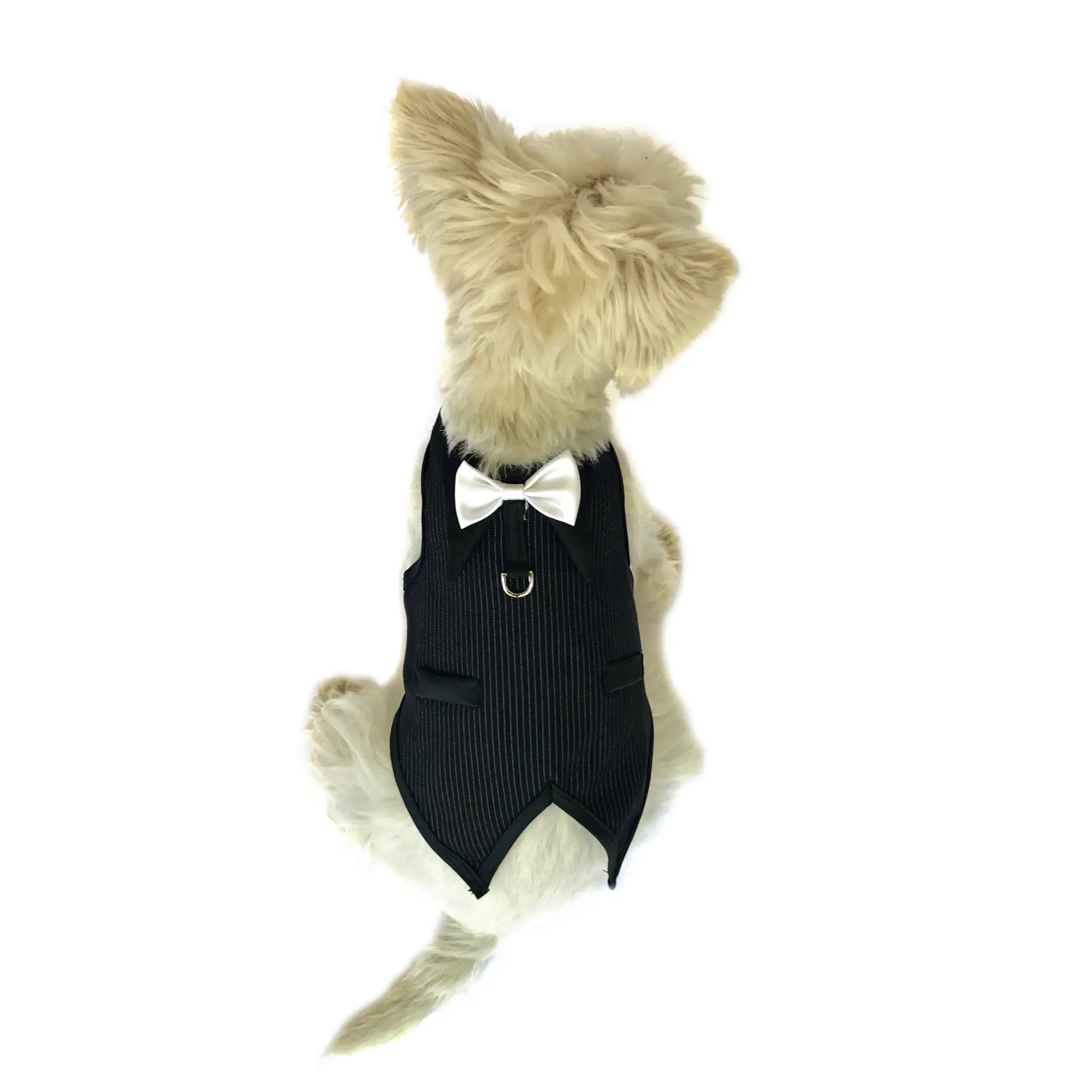 The Dog Squad Dogfather Pinstriped Tuxedo