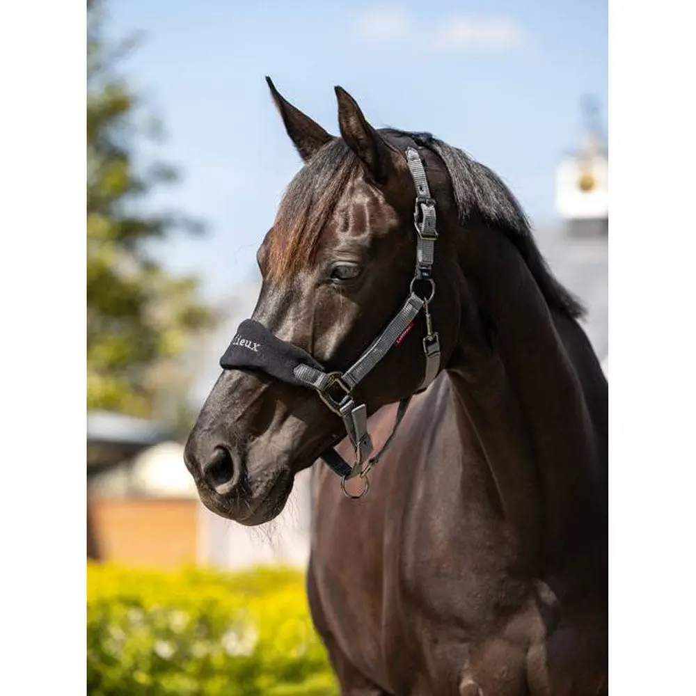 IT00826 Vogue Fleece Cushion Headcollar Halter & Lead Rope Set - Black