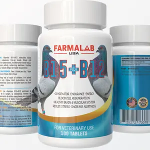 Farmalab B15 B12 Pigeon Vitamin Supplement 100 Tablets Energy Endurance Formula for Racing Birds Boosts Performance and Endurance Supplies