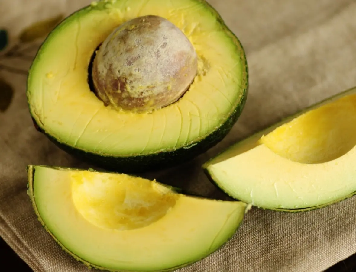 Avocado Tree, Hass Avocado Tree Live Grafted Tree 2-3 Feet Tall In Pot, Avocado Live Tree, Fruit Tropical Live Tree For Planting