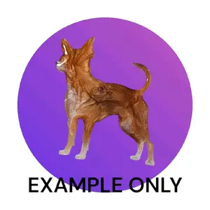 Customizable Resin Chihuahua keychain/3D Magnet  - All Proceeds donated to surgery !