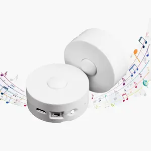 Voice Recorder,16Min Voice Recording Button for Stuffed , Bear,Crafts Pillow.16MB Record Custom Messages for Xmas Halloween  Year Birthday Creative DIY Present (2P White)