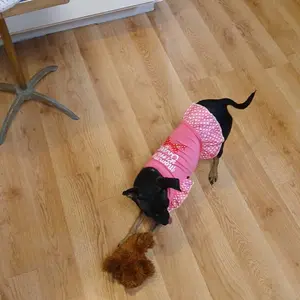 XPUDAC 4-Piece Cute Dog Dress Shirt, Summer Clothing for Small Girl Dogs, Pet Costume & Outfits Inspo Apparel for Cats