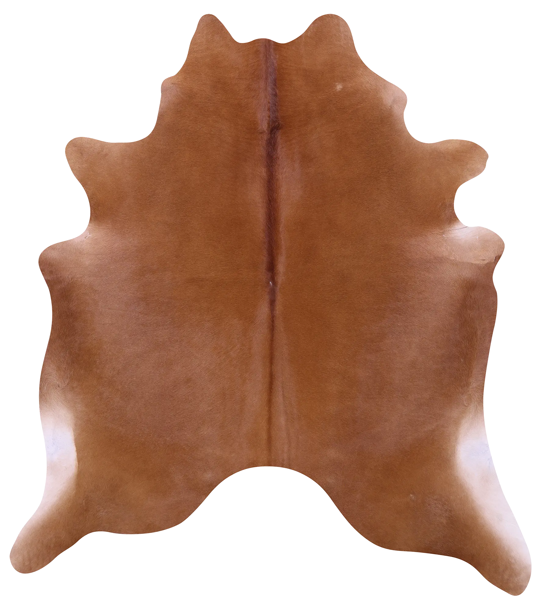 SUPER SALE Brown Natural Cowhide Rug - Large 6' 10"H x 6' 0"W