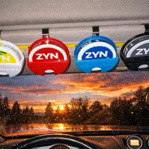 ZYN Car Lip Pillow Holder Versatile Organizer for Essentials Glow in the Dark Blue 3D-Printed Durable PET-G Heat & Water Resistant Secure Access Clips Easy on Sun Visor