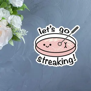 Let's Go Streaking Sticker