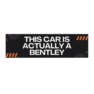 Anti-Elon Bumper Stickers for Tesla, Car Decal, Funny Vinyl Sticker, Cybertruck Accessories, Sarcastic Elon Musk Quote Decals