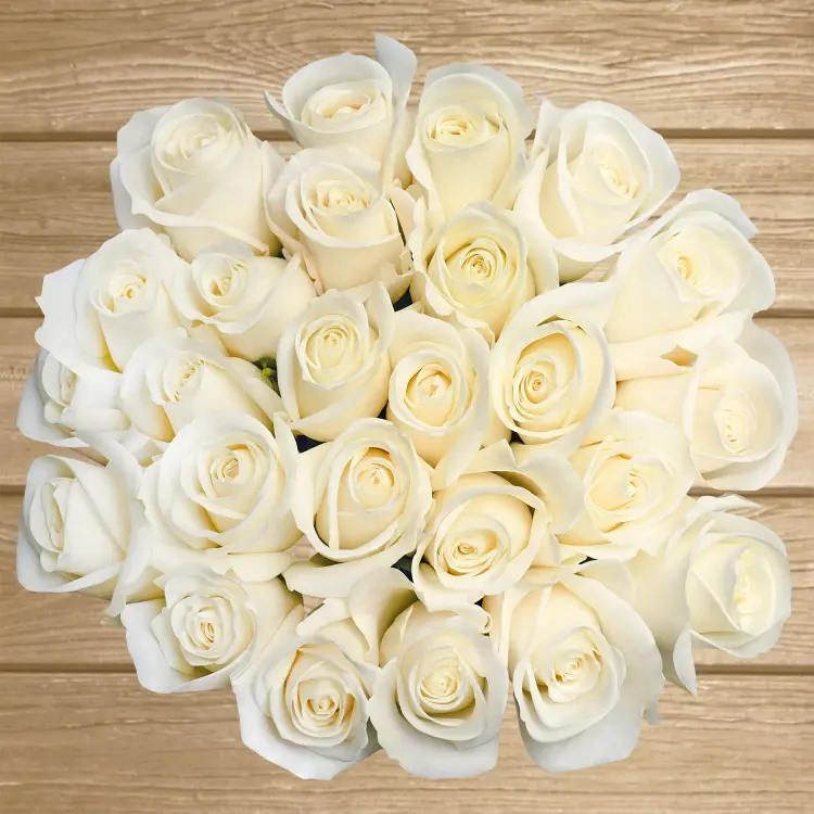 White Roses 50cm Stem Premium Imported Fresh Bud Form 8-15 Days Vase Life Ideal Mother's Day Gift Free Delivery