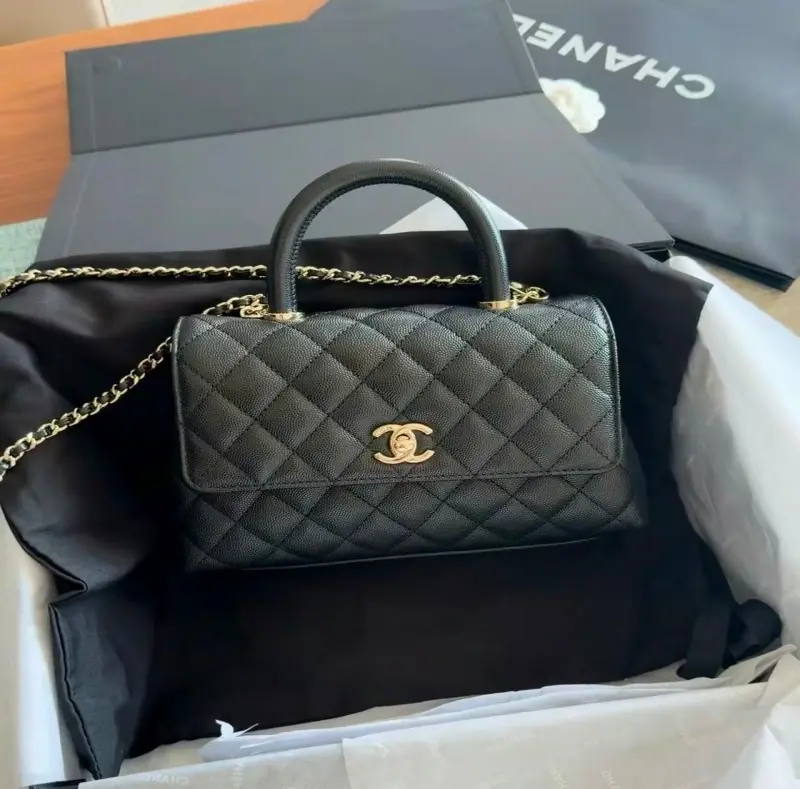‮ LENAHC  ‬Mini Quilted Flap Bag With Leather Top Handle & Gold Chain
