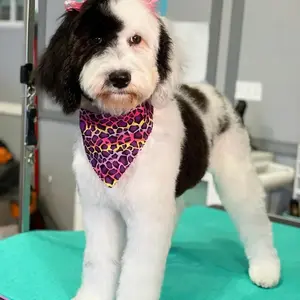 PawMat Pink and Teal Anti-Fatigue Anti-Slip Multi-Purpose Grooming Mat