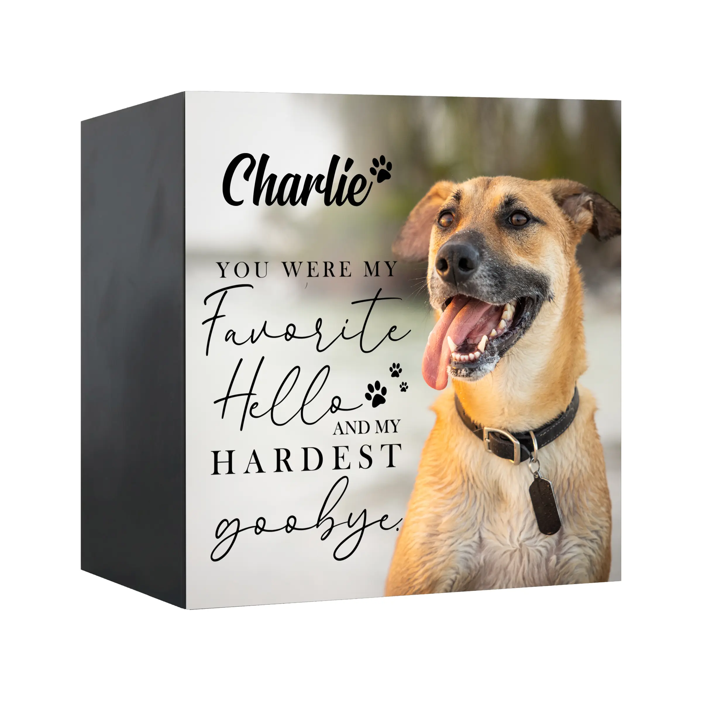 Sympathy Gift for Pet Lovers Personalized Pet Cremation Shadow Box Urn for Dogs & Cats Pet Memorial Dog Loss Cat Loss Gift| You Were My Favorite Hello
