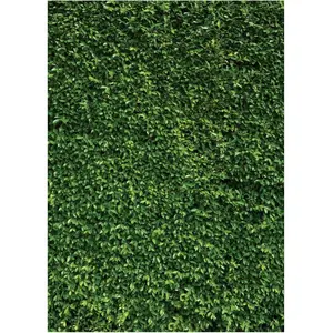 Grass Wall Backdrop Green Leaf Banner 5x7FT 10923