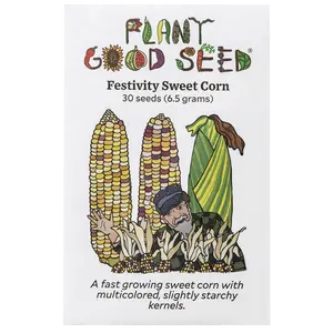 Festivity Sweet Corn Seeds - Rainbow Colored, Organic Heirloom 30 Seed Packet / Bulk Size