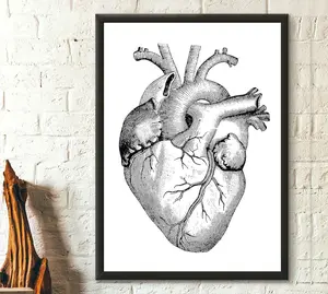 Vintage Anatomical Poster - Medical Decor Human Anatomical Poster Medical Heart Poster Graduation Gift Idea Medical Wall Art Art Reproduction, Poster No Frame Ornaments Decoration