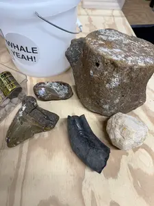 WHALE YEAH TWO GALLON FOSSIL AND NATURAL CRYSTAL MINING BUCKET