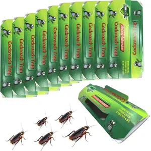 Cockroach Trap Roach Killer Indoor Home Non-Toxic Sticky Bug Glue Trap for Roach, Ants, Spiders, Bugs, Beetles, Crickets (10 Pack)