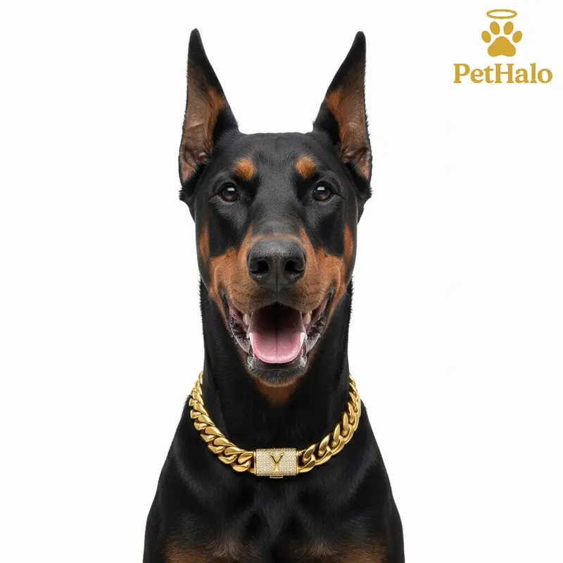 pitbull chains - TikTok Shop