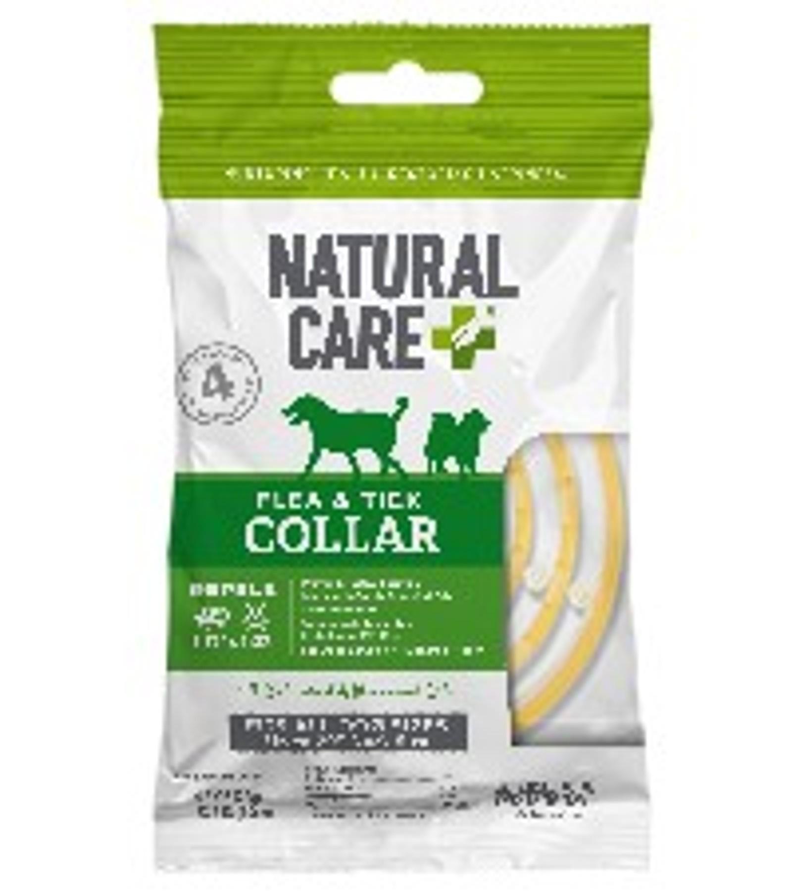 Flea & Tick Carpet Powder, 8.1oz – Carpet, Rug & Pet Bedding Treatment for Flea Prevention, Tick Control, Home Pest Control & Carpet Freshener, Easy ApplicationGift Flea & Tick Carpet Powder, 8.1oz – Carpet, Rug & Pet Bedding Treatment for Flea Prevention, Tick Control, Home Pest Control & Carpet Freshener, Easy ApplicationGift