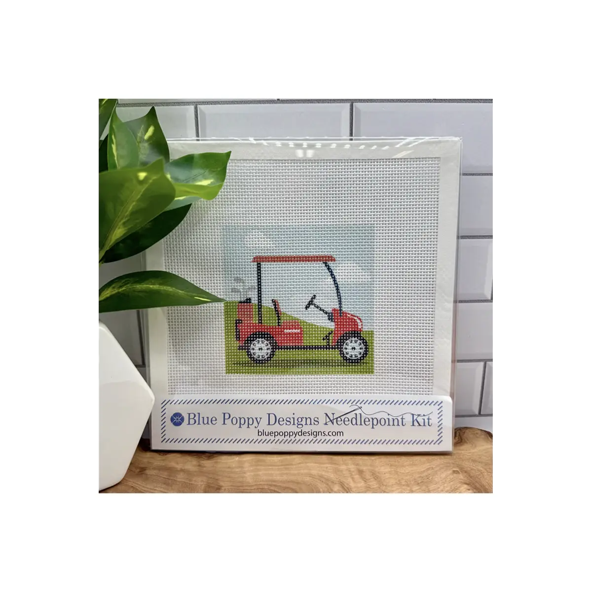Needlepoint Kit