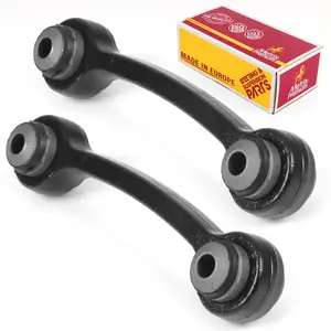 Rear Control Arm Kit 95134MT