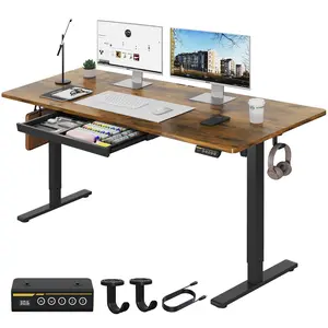 Gamork Electric Standing Desk with Drawers Storage，With 3 height memory settings，48"x24" 55"x24" Gaming Desks Ergonomically Designed for Home Office Gaming and Video Editing，Electronic game table Stable Tabletop Wood Workstation