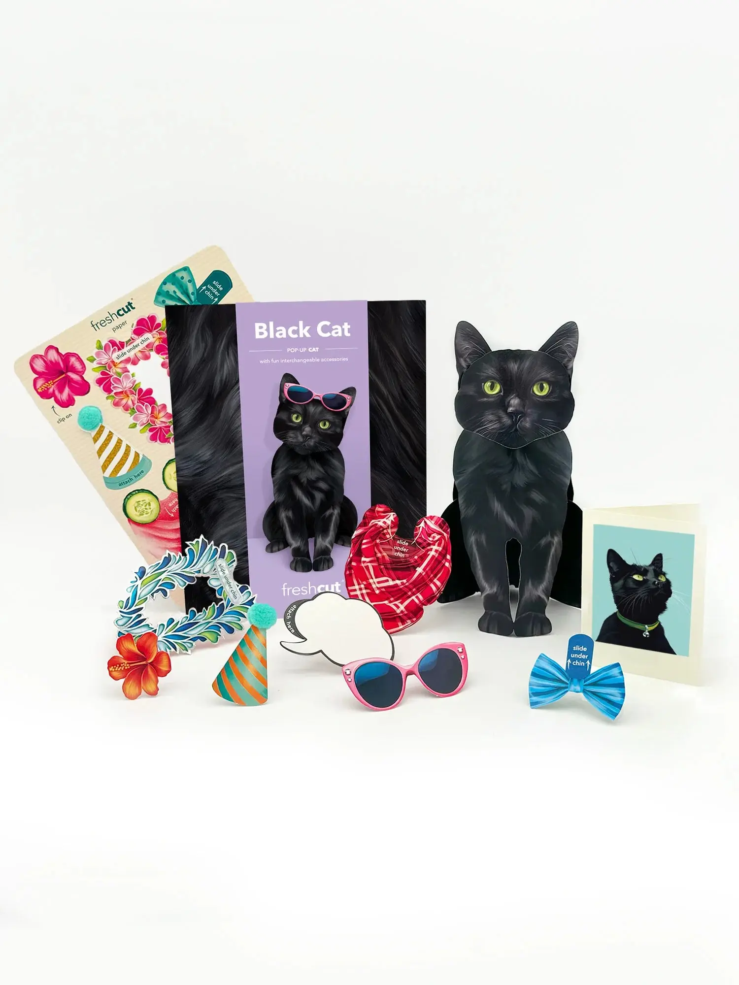 Freshcut Paper. Black Cat - Pop Up Greeting Card