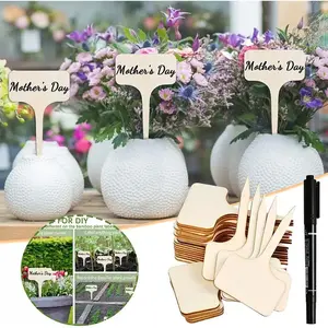 10/20/30PCS Plant Identification Garden Marker Cards Plant Sign Tags Labels for Garden Plants ZWBQP01