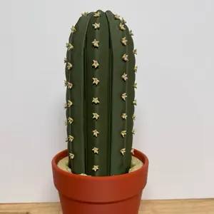 Cactus Chess/Checkers Set: Roll Up Travel Board Game, Cactus Pieces