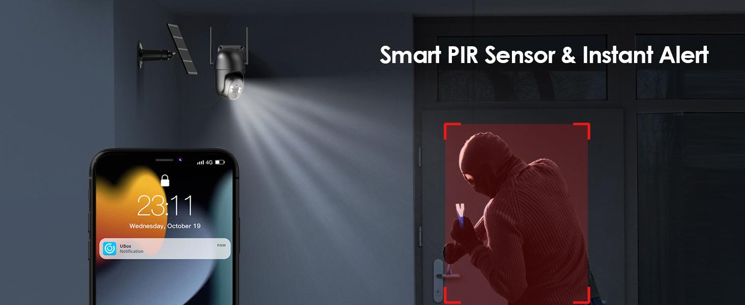 Motion detection alerts