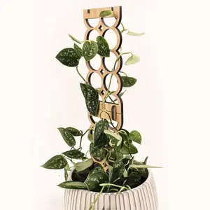 The Propagator - Modular Trellis Complete Kit