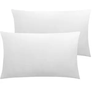 Bedsum 2 Pieces Velvet Zippered Pillowcases, Super Soft and Cozy Luxury Solid Color Pillow Case for Bedroom, Sofa, Couch