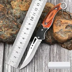 Stainless steel fruit knife, steak knife, meat cutting knife