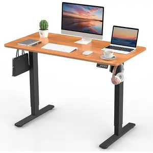 Electric Standing Desk Adjustable Height 28"-47", Sit Stand Desk with Motor, 43.5" Workstation, Quiet Lift, Heavy Duty Frame, Home Office Computer Desk