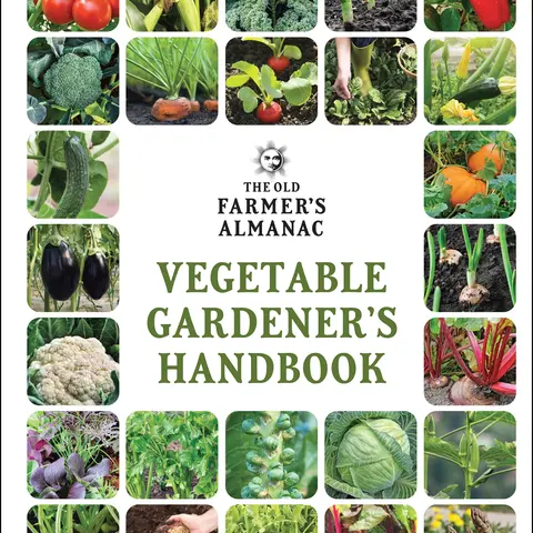 The Old Farmer's Almanac Vegetable Gardener’s Handbook by Old Farmer’s Almanac [Paperback Book]