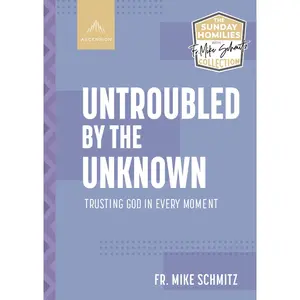 USED-Untroubled by the Unknown: Trusting God in Every Moment by Schmitz, Fr Mike (Paperback)