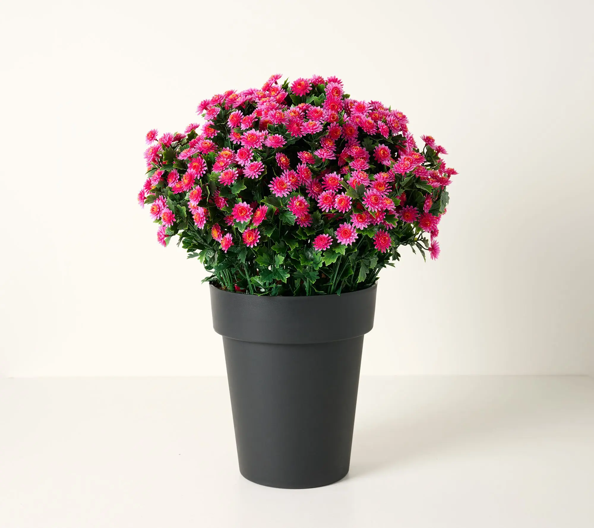 Wicker Park 24" Indoor/Outdoor Jumbo Potted Faux Mums