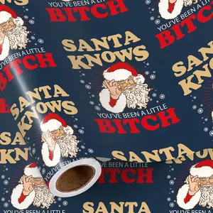 Funny Christmas Wrapping Paper Roll, Mini Roll,  Santa with Funny Text, Gag  Wrap for Women, Men, , Family, White Elephant, Holiday Prank, 17 Inches x 16.4