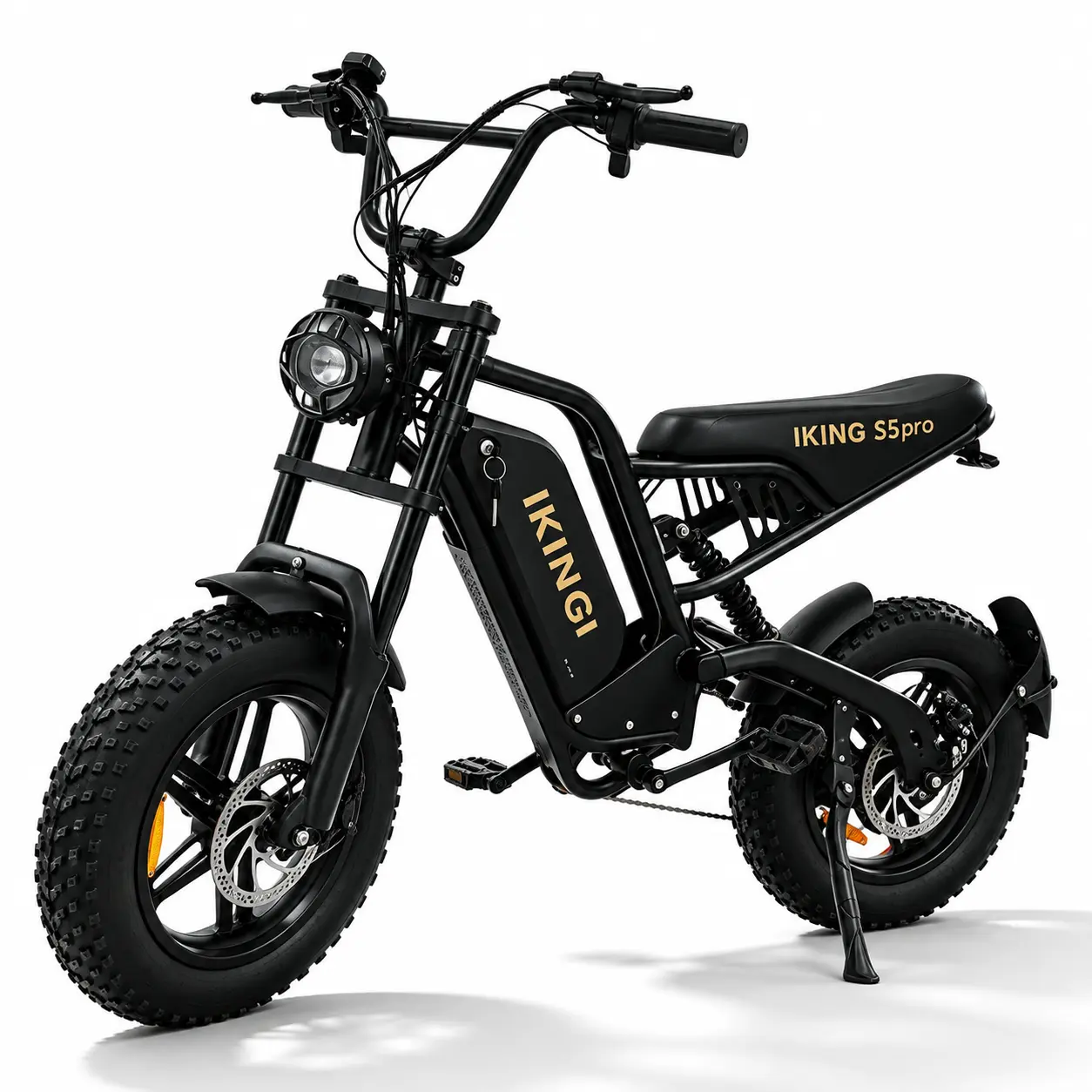 Adult Electric Bicycle, 1000W Peak Motor, 25MPH Fat Tire E-Bike with 48V 15Ah Removable Battery, Up to 40 Mi PAS Range, 16x4.0 Fat Tires, Front & Rear Disc Brakes, for City Riding & Weekend Trips