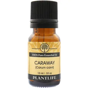 Plantlife Caraway Essential Oil 10 ml – Sweet Spicy Herbaceous Aromatherapy Oil