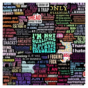 110Pcs Sarcastic Quote Stickers Pack, Waterproof Edgy Funny Swear & Meme Vinyl Decals for Laptop, Water Bottle, Journal & Scrapbook, Edgy Lover Gift
