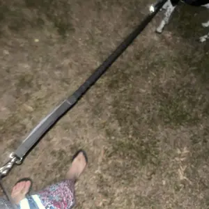 PetAmi Hands Free Dog Leash, Dog Running Leash Belt for Walking Jogging, Dog Waist Zipper Pouch Fanny Pack with Poop Bag Dispenser, Dual Padded Handle Bungee Leash for Small Medium Large Dogs