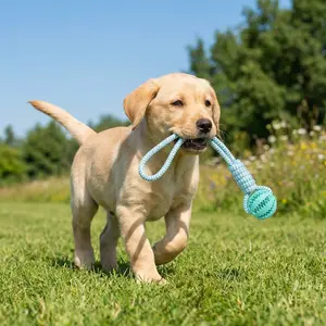 Cotton Rope & Rubber Dog Chew Ball, Treat Dispenser Toy. 18x13cm, Durable, for Boredom & Teething